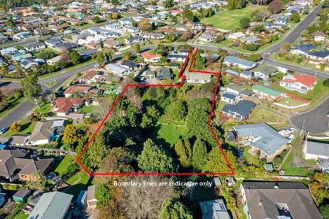 Photo of property in 152 Cameron Road, Te Puke, 3119