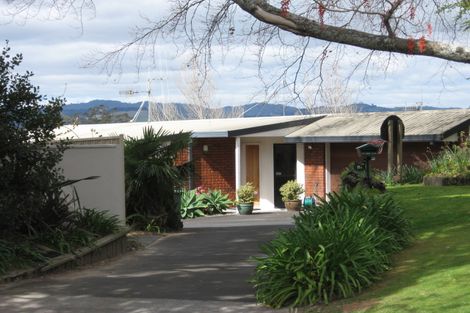 Photo of property in 8a Eighth Avenue, Tauranga, 3110