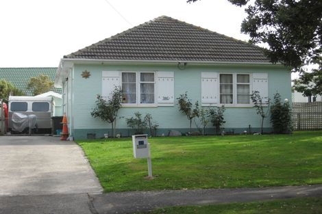 Photo of property in 47 Hall Crescent, Epuni, Lower Hutt, 5011