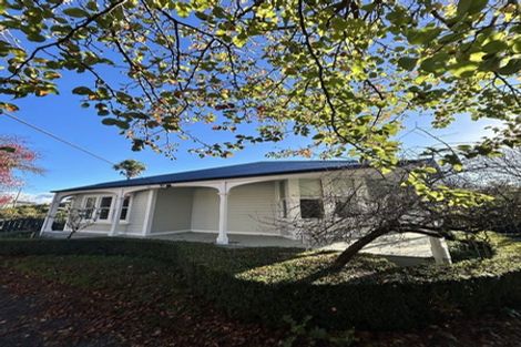 Photo of property in 60 Essex Street, Masterton, 5810