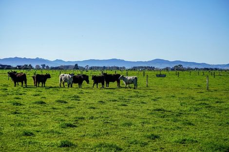 Photo of property in 90 Rawerawe Road, Ngatea, 3597