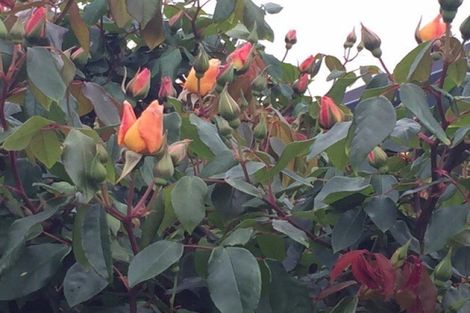 Photo of property in 99 Weggery Drive, Waikanae Beach, Waikanae, 5036