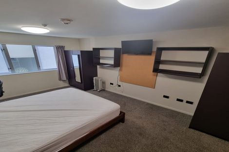Photo of property in Martin Square Apartments, 216/20 Martin Square, Te Aro, Wellington, 6011