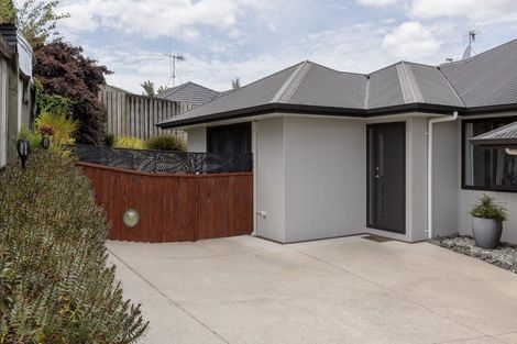 Photo of property in 20a Lincoln Terrace, Gate Pa, Tauranga, 3112