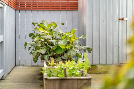 Photo of property in 2/35 Tahi Street, Miramar, Wellington, 6022