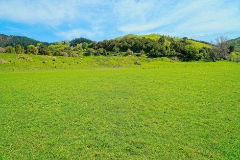 Photo of property in 74 Goodwin Road, Matokitoki, Gisborne, 4071