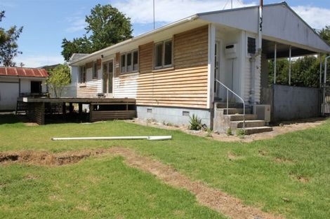 Photo of property in 24 Hinau Street, New Lynn, Auckland, 0600