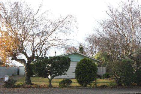 Photo of property in 99 Princes Street, Netherby, Ashburton, 7700