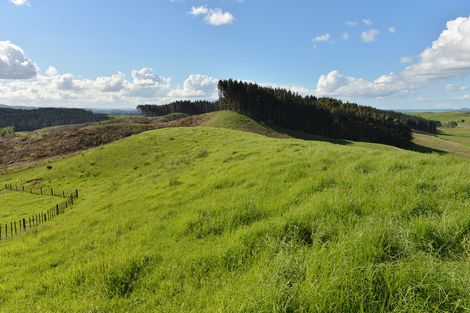 Photo of property in 495 Glenmohr Road, Waipu, 0582