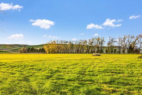 Photo of property in 83 Hazeldine Road, Freshford, Gore, 9777