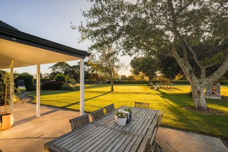 Photo of property in 48 Peake Road, Cambridge, Hamilton, 3283