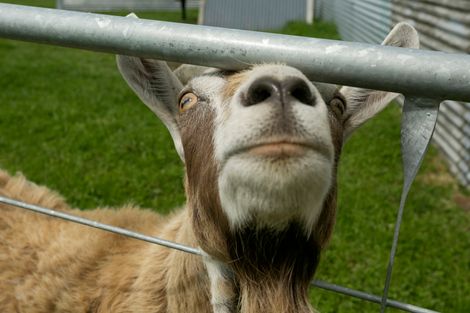 Photo of property in 386 East Road, Reporoa, 3081