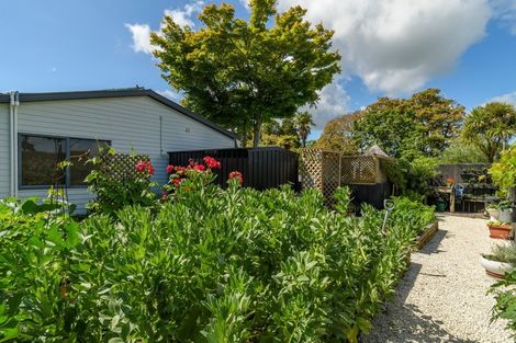 Photo of property in 285 Plummers Point Road, Whakamarama, Tauranga, 3172