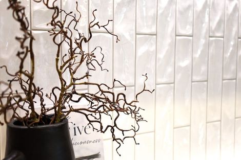 Photo of property in 6 Samuel Place, Terrace End, Palmerston North, 4410