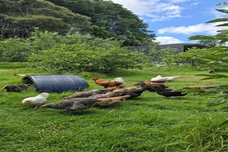 Photo of property in 656 Takahue Road, Takahue, Kaitaia, 0481