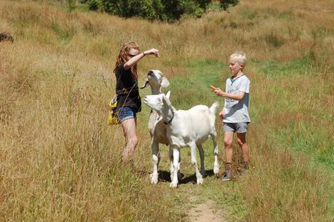 Photo of property in 521 Ahuroa Road, Puhoi, Warkworth, 0994