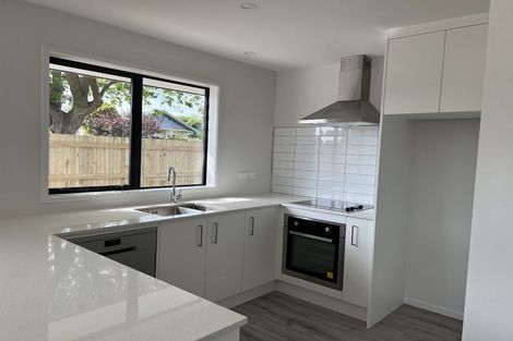 Photo of property in 25 Princes Street, Levin, 5510