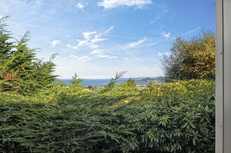 Photo of property in 64 Mckerrow Street, Shiel Hill, Dunedin, 9013