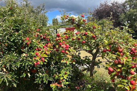 Photo of property in 106b New Renwick Road, Burleigh, Blenheim, 7201