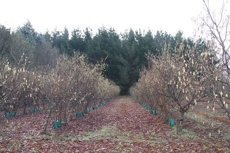 Photo of property in 459 Flora East, Makarewa, Invercargill, 9876