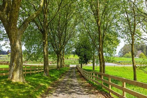 Photo of property in 389 Lichfield Road, Lichfield, Putaruru, 3482