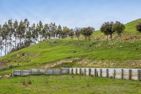 Photo of property in 48 Norsewood Ormondville Road, Norsewood, 4974