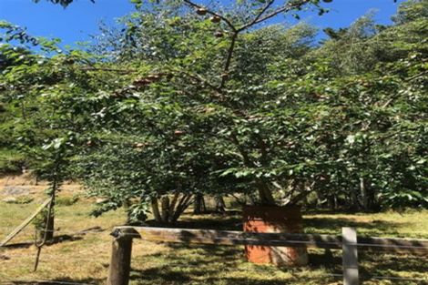 Photo of property in 1922 Motueka Valley Highway, Ngatimoti, Motueka, 7196