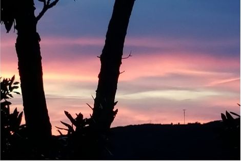 Photo of property in 164-166 Lone Kauri Road, Karekare, New Lynn, 0772