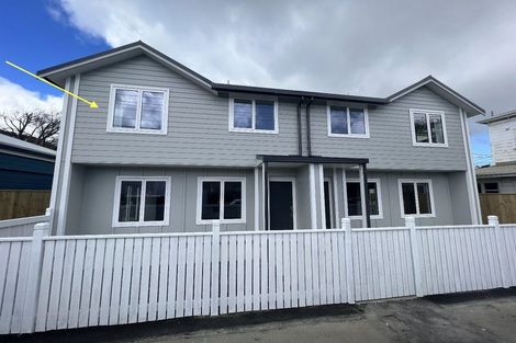 Photo of property in 101 Daniell Street, Newtown, Wellington, 6021