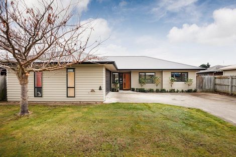 Photo of property in 91 Fraser Drive, Feilding, 4702