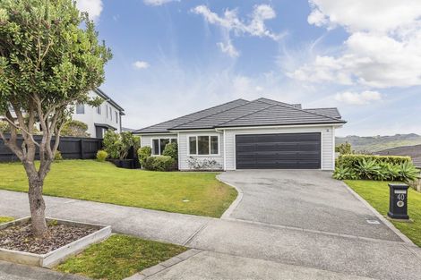 Photo of property in 40 John Burke Drive, Aotea, Porirua, 5024