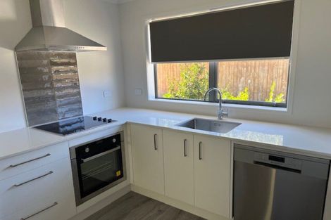 Photo of property in 30a Duke Street, Levin, 5510