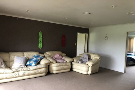 Photo of property in 420 Tararua Road, Levin, 5571