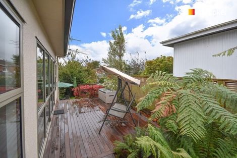 Photo of property in 75 Warden Street, Opoho, Dunedin, 9010