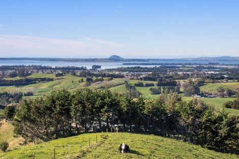 Photo of property in 345a Lindemann Road, Tahawai, Katikati, 3170