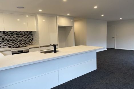 Photo of property in 99a Linton Street, West End, Palmerston North, 4410