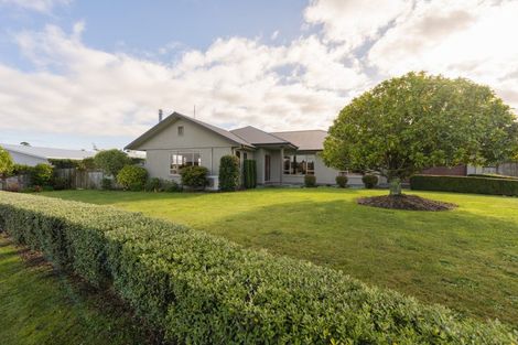 Photo of property in 21 Pukawa Place, Feilding, 4702
