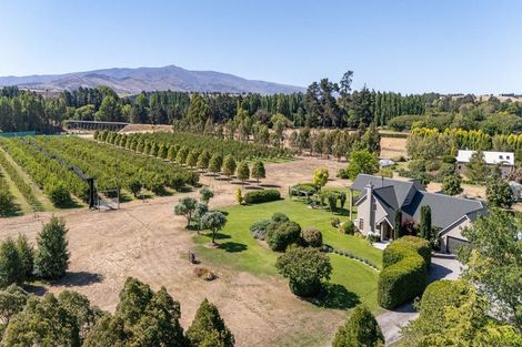 Photo of property in 190 Airport Road, Alexandra, 9391