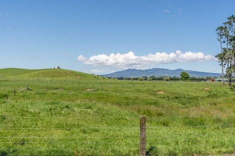 Photo of property in 133 Robson Road, Ngahinapouri, Hamilton, 3290