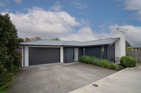 Photo of property in 55a Ferguson Street, Awapuni, Palmerston North, 4412