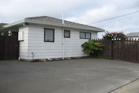Photo of property in 189 Marshland Road, Shirley, Christchurch, 8052