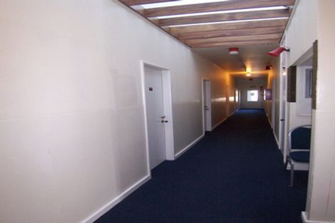 Photo of property in 113 Coromandel Street, Newtown, Wellington, 6021