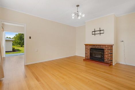 Photo of property in 95 Herbert Street, Masterton, 5810