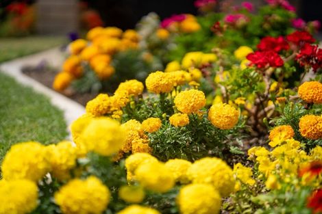 Photo of property in 42 Edgeview Crescent, Fitzroy, Hamilton, 3206