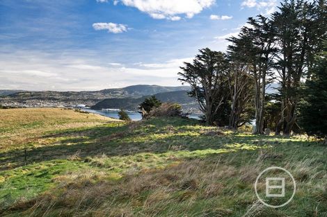 Photo of property in 770 Highcliff Road, Highcliff, Dunedin, 9077
