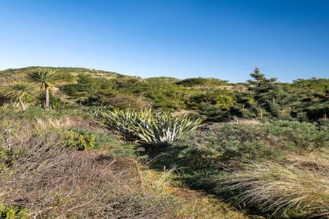 Photo of property in 23b Luke Street, Ocean Grove, Dunedin, 9013