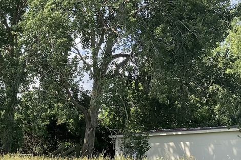 Photo of property in 123 Colville Road, Dargaville, 0377