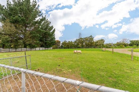 Photo of property in 8 King Street, Waimate, 7924