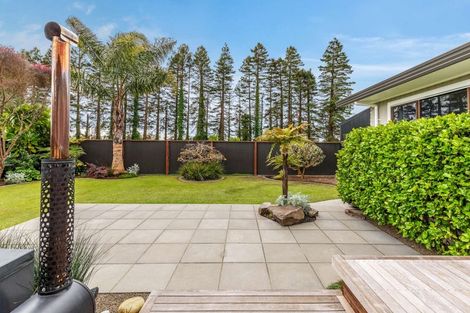 Photo of property in 22 Matipo Place, Edgecumbe, 3120