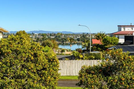 Photo of property in 19a Vine Avenue, Maungatapu, Tauranga, 3112